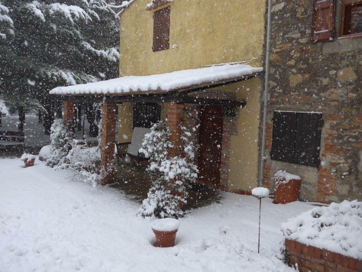 Ferienwohnung Mdq - Azienda Agricola Castiglione dʼOrcia Exterior foto