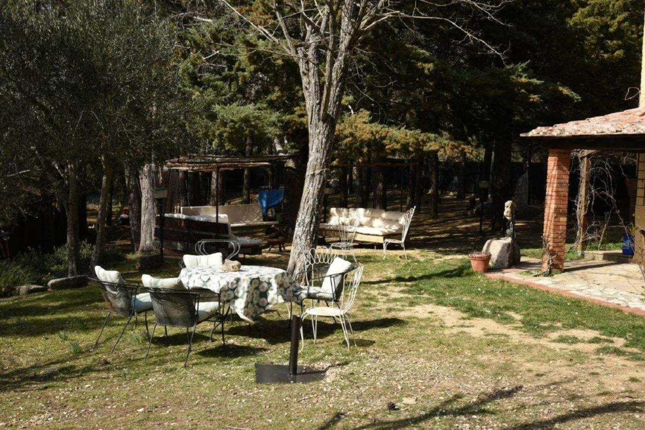 Ferienwohnung Mdq - Azienda Agricola Castiglione dʼOrcia Exterior foto
